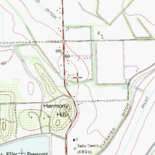Topographic Map of Cerrito Colonia, TX