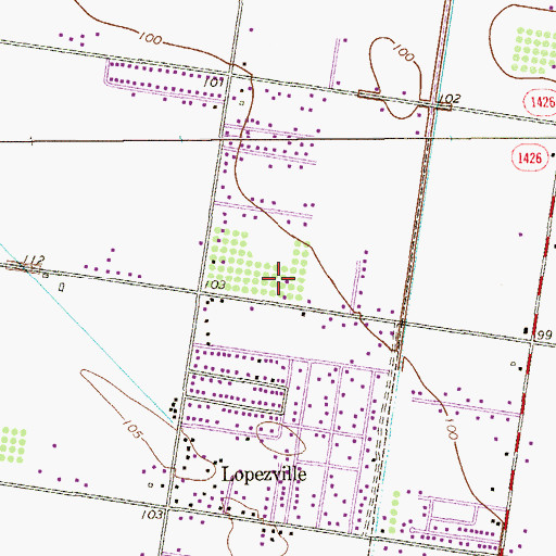 Topographic Map of Citrus Ranchitos Colonia, TX