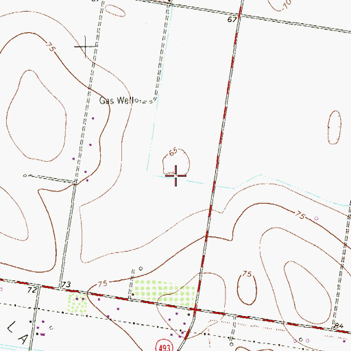 Topographic Map of Collin Colonia, TX