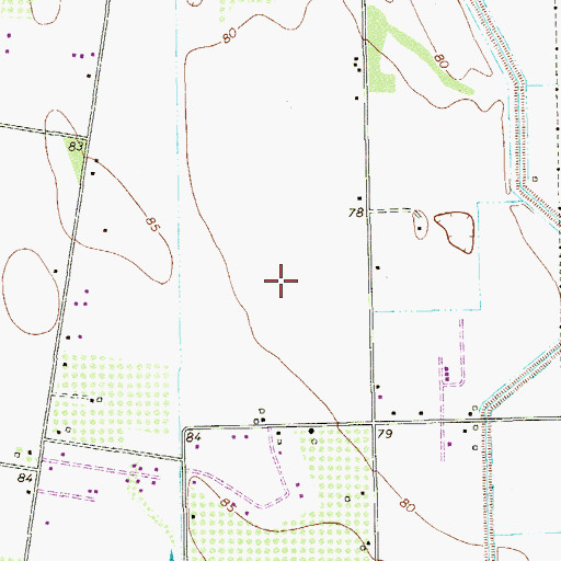 Topographic Map of Colonia del Noreste, TX