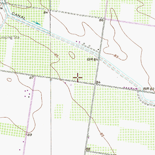 Topographic Map of Summerwood Colonia, TX