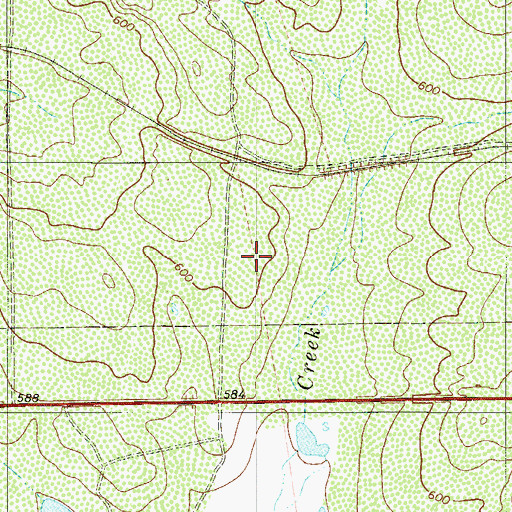 Topographic Map of Las Blancas Colonia, TX