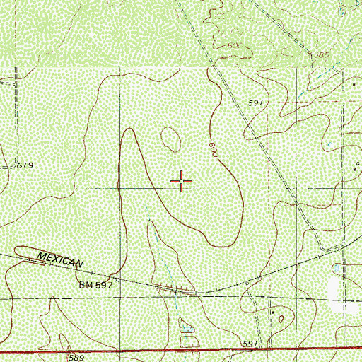 Topographic Map of Pueblo Nuevo Colonia, TX