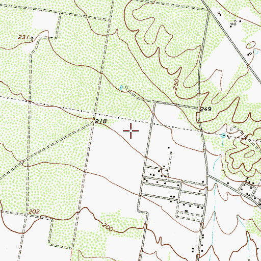Topographic Map of Salmon Colonia, TX