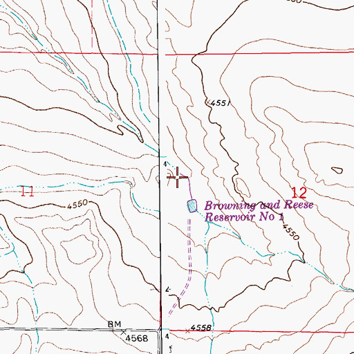 Topographic Map of Browning and Reese Number 1 Dam, CO