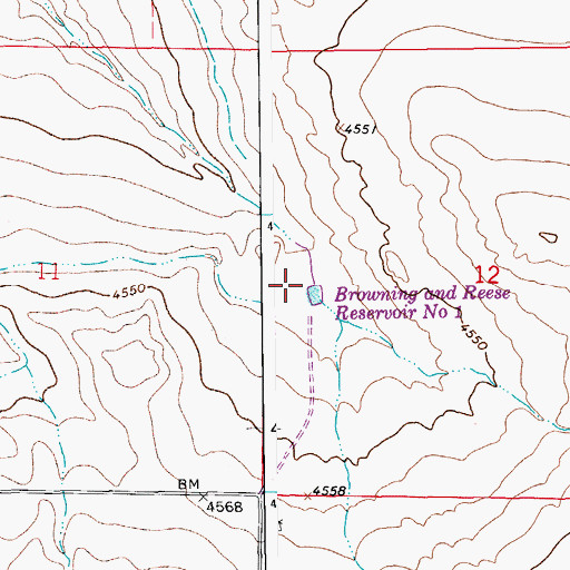 Topographic Map of Browning and Reese Reservoir Number 1, CO