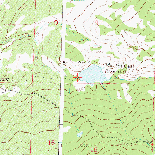 Topographic Map of Cull Dam, CO
