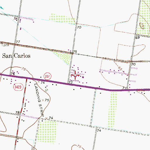 Topographic Map of San Carlos Acres Colonia, TX