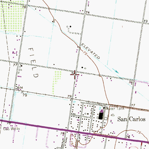 Topographic Map of San Carlos Farms Colonia, TX