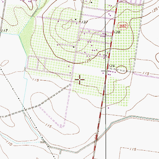 Topographic Map of Royal Palms Estates Colonia, TX