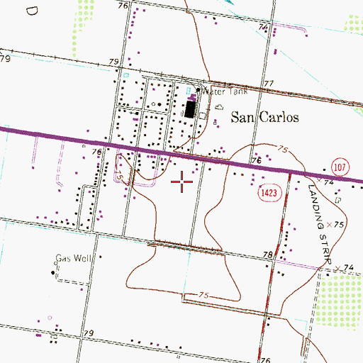 Topographic Map of Ruthven Colonia Number 2, TX