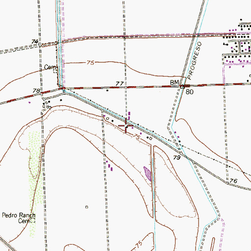 Topographic Map of Parajitos Colonia, TX
