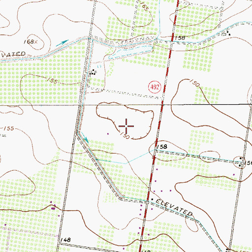 Topographic Map of Paseo de Palmas Colonia, TX