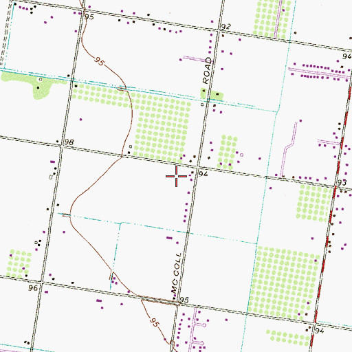 Topographic Map of North McColl Colonia, TX