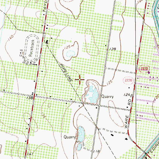 Topographic Map of Newkirk Colonia, TX