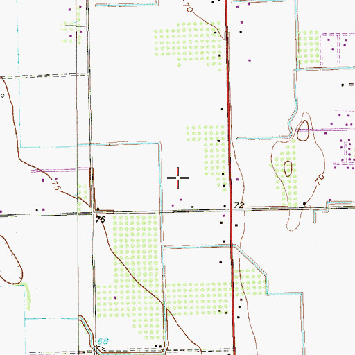 Topographic Map of Mile 10 North at Mile 5 West Colonia, TX