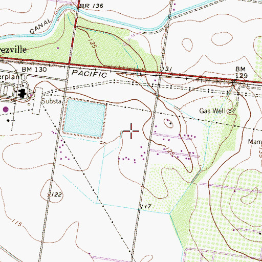 Topographic Map of Los Trevinos Colonia, TX