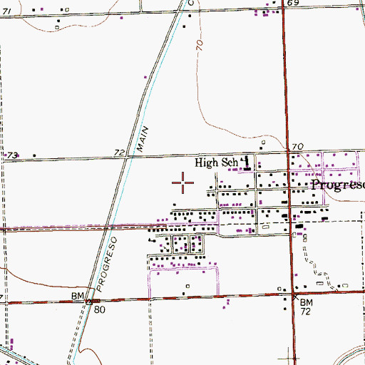Topographic Map of Lyons Colonia, TX