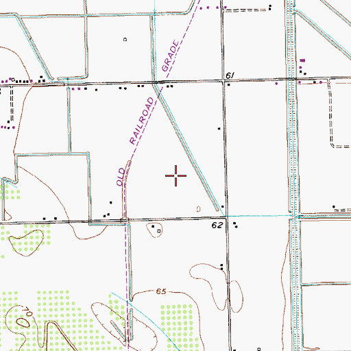 Topographic Map of La Pampa Colonia, TX