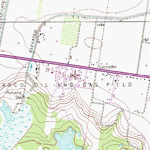 Topographic Map of King Ranch Colonia Number 2, TX