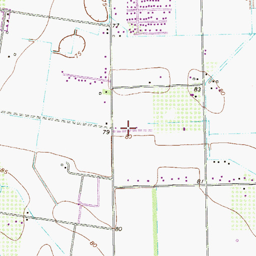 Topographic Map of La Loma Alta Colonia, TX