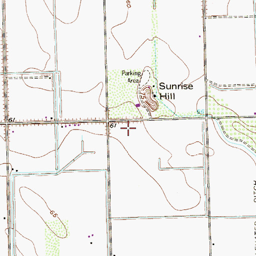 Topographic Map of La Mesa Colonia, TX