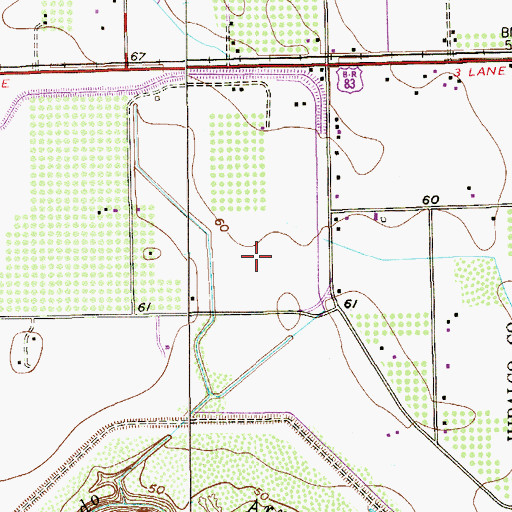 Topographic Map of La Milpa Colonia, TX