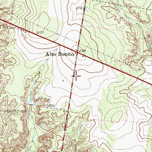 Topographic Map of Alto Bonito Colonia, TX