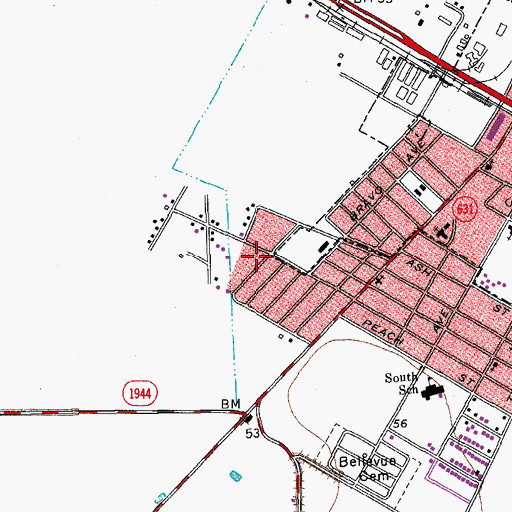 Topographic Map of Fourth Hidalgo Colonia, TX