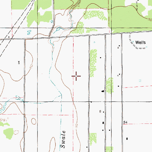 Topographic Map of Corriente Estates Colonia, TX