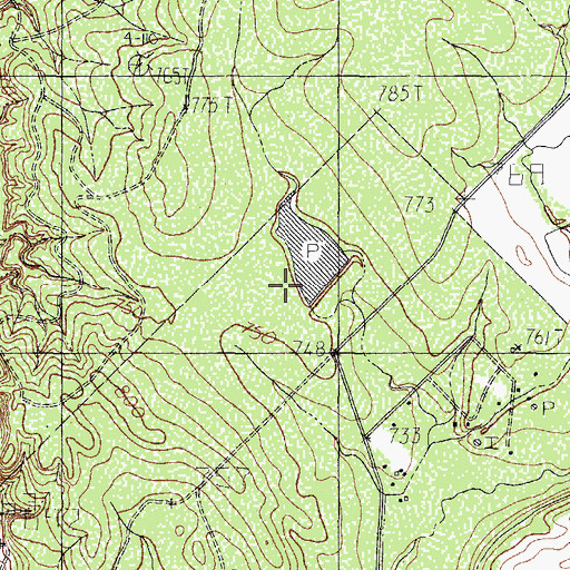 Topographic Map of Los Guajillos Colonia, TX