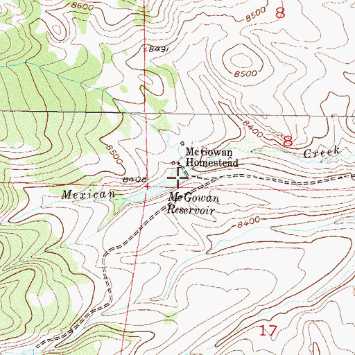 Topographic Map of McGowan Dam, CO