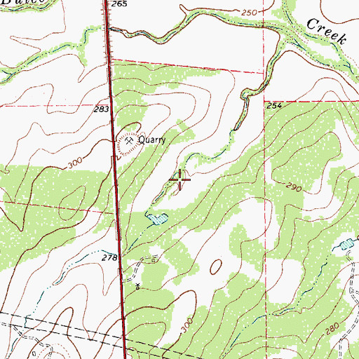 Topographic Map of Loma Alta Ranch Colonia, TX