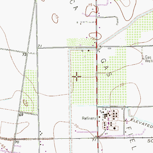 Topographic Map of Tropicana Colonia, TX