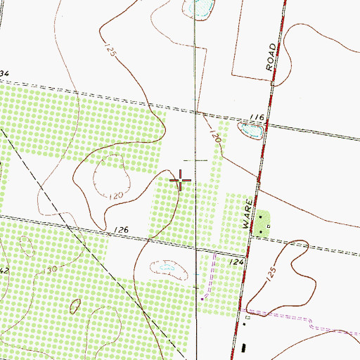 Topographic Map of Ware Country Colonia Number 2, TX