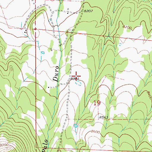 Topographic Map of Pala Dura Dam, CO