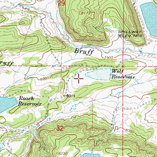 Topographic Map of Beeman Dam, CO