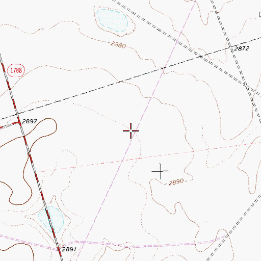 Topographic Map of Pliska Aircraft Museum, TX