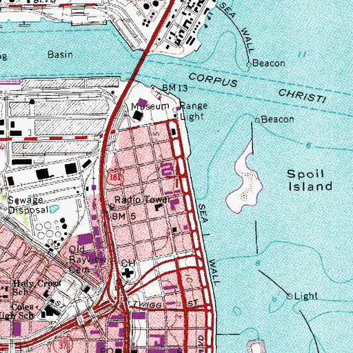 Topographic Map of Art Museum of South Texas, TX