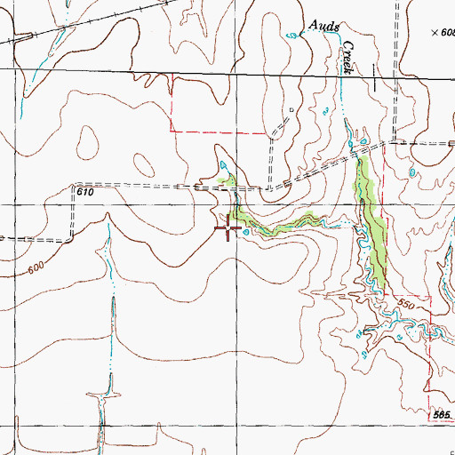 Topographic Map of Flying Tigers Museum, TX