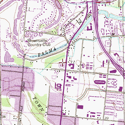 Topographic Map of Brownsville Public Library, TX