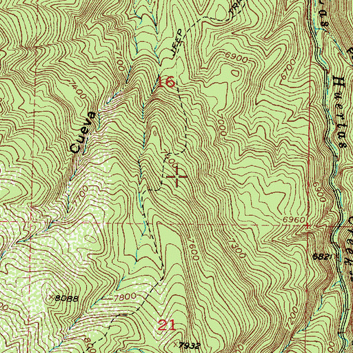 Topographic Map of Osha Spring Trail, NM