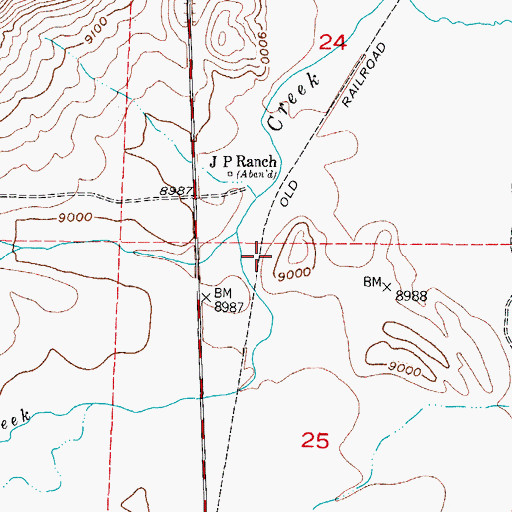 Topographic Map of Buffalo Creek Dam, CO