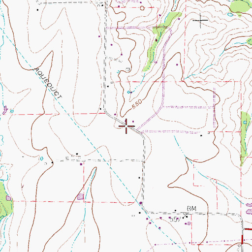 Topographic Map of True Vine Fellowship Church, TX