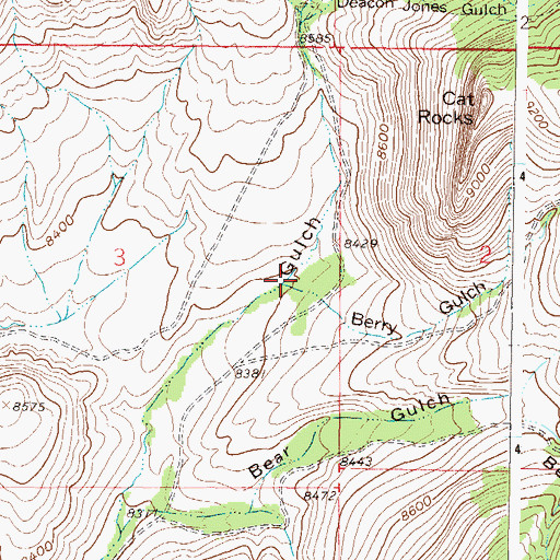 Topographic Map of Berry Gulch, CO