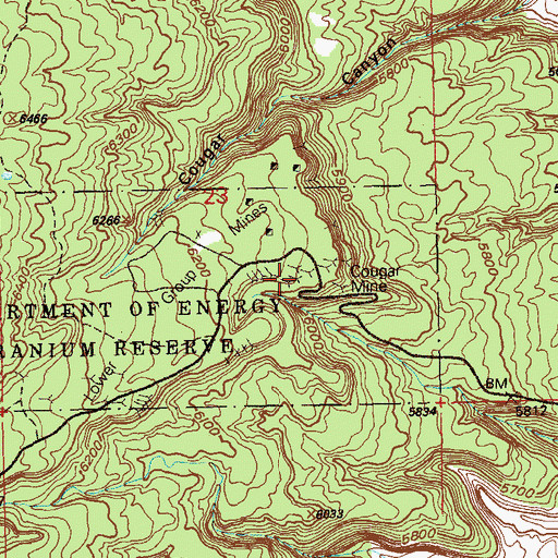 Topographic Map of Cougar Mine, CO