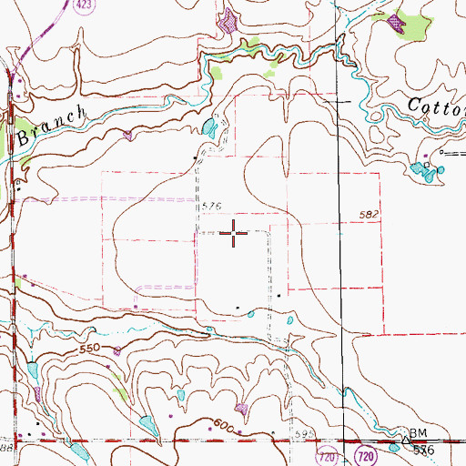 Topographic Map of First Pentecostal Church of Frisco, TX