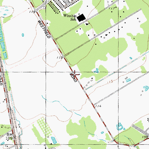 Topographic Map of Spring Memorial Baptist Church, TX
