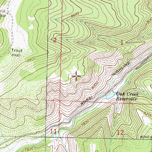 Topographic Map of Rossi Highline Ditch, CO