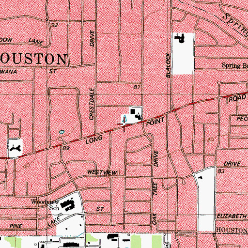 Topographic Map of Spring Branch Community Church, TX